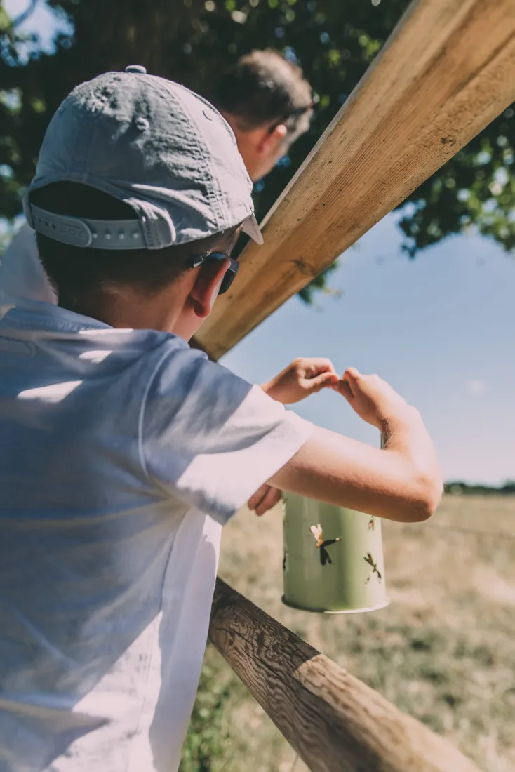 Enfant qui nourrit les animaux