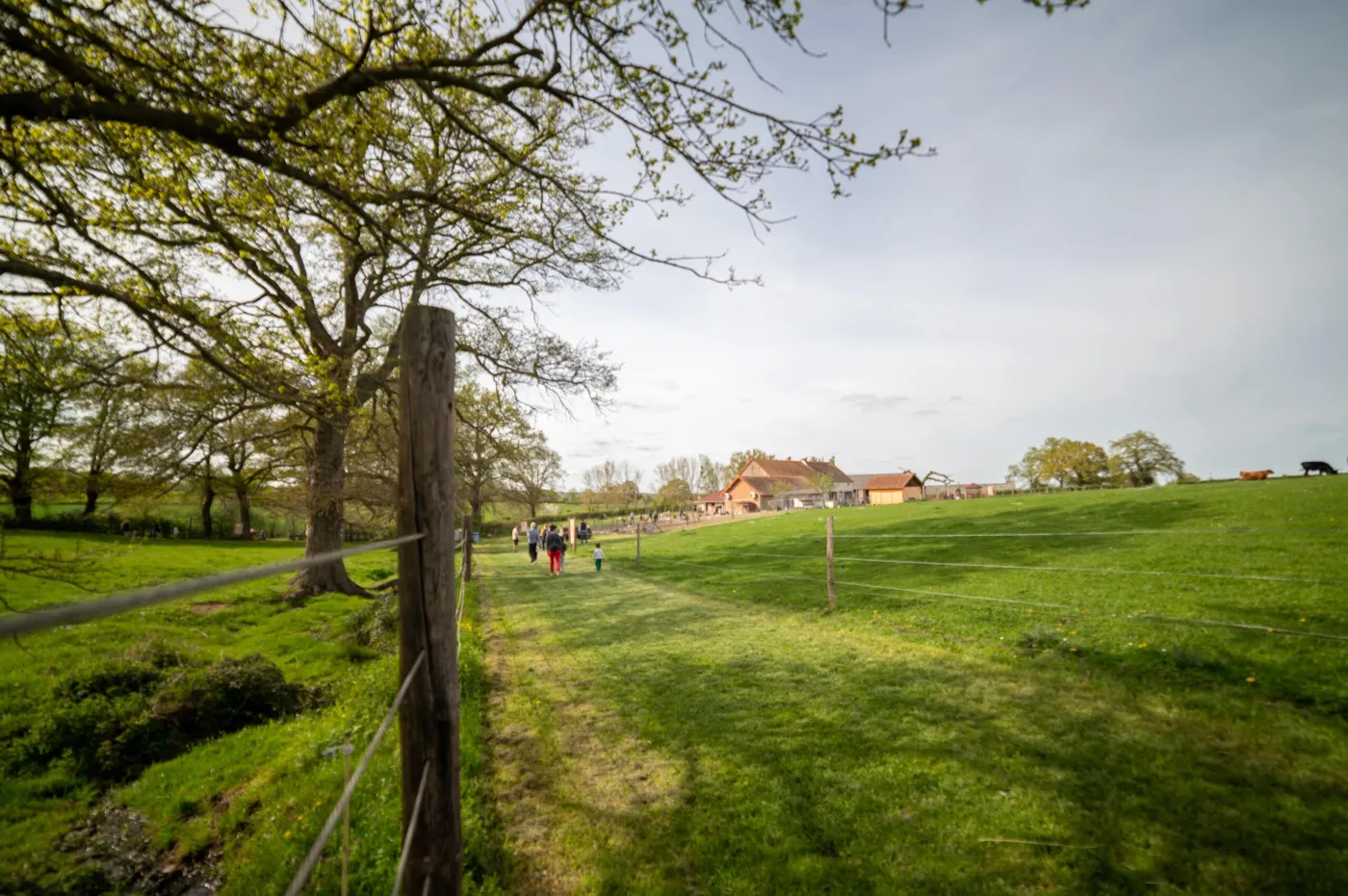 Prairies et bâtiments du domaine