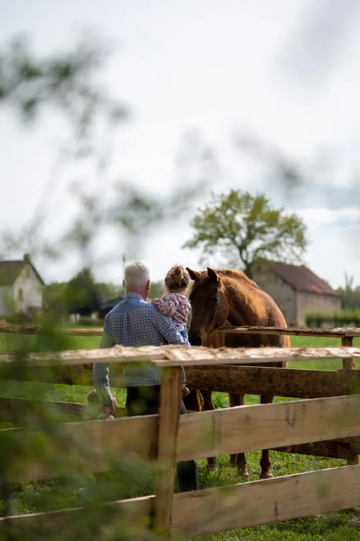 Visiteurs avec un cheval