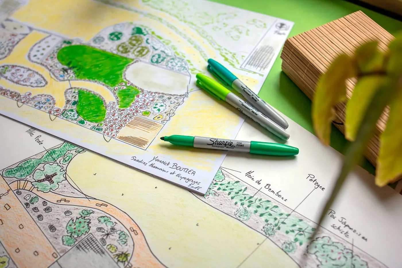Plans de jardin dessinés à la main